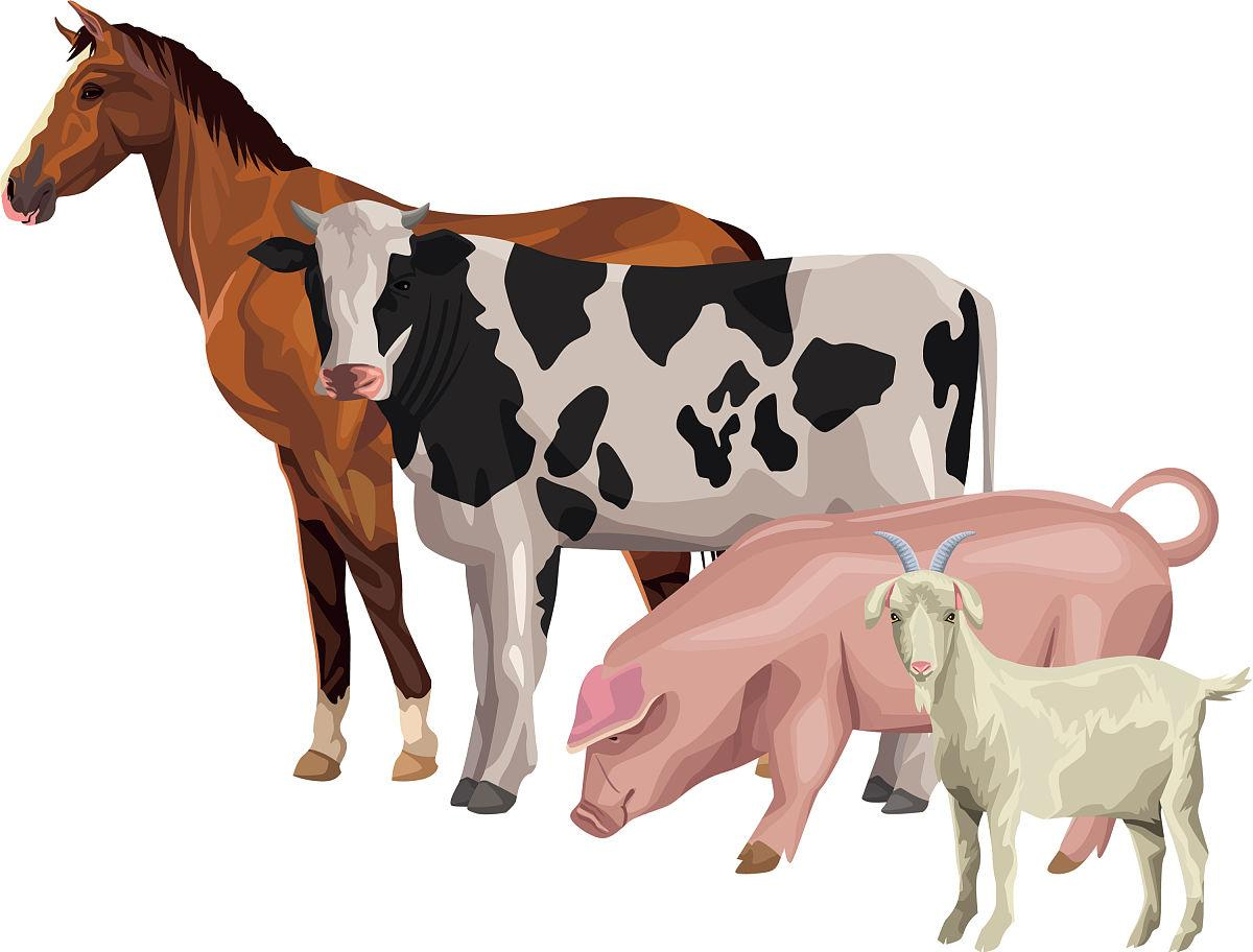 畜類動物疫病檢測系列